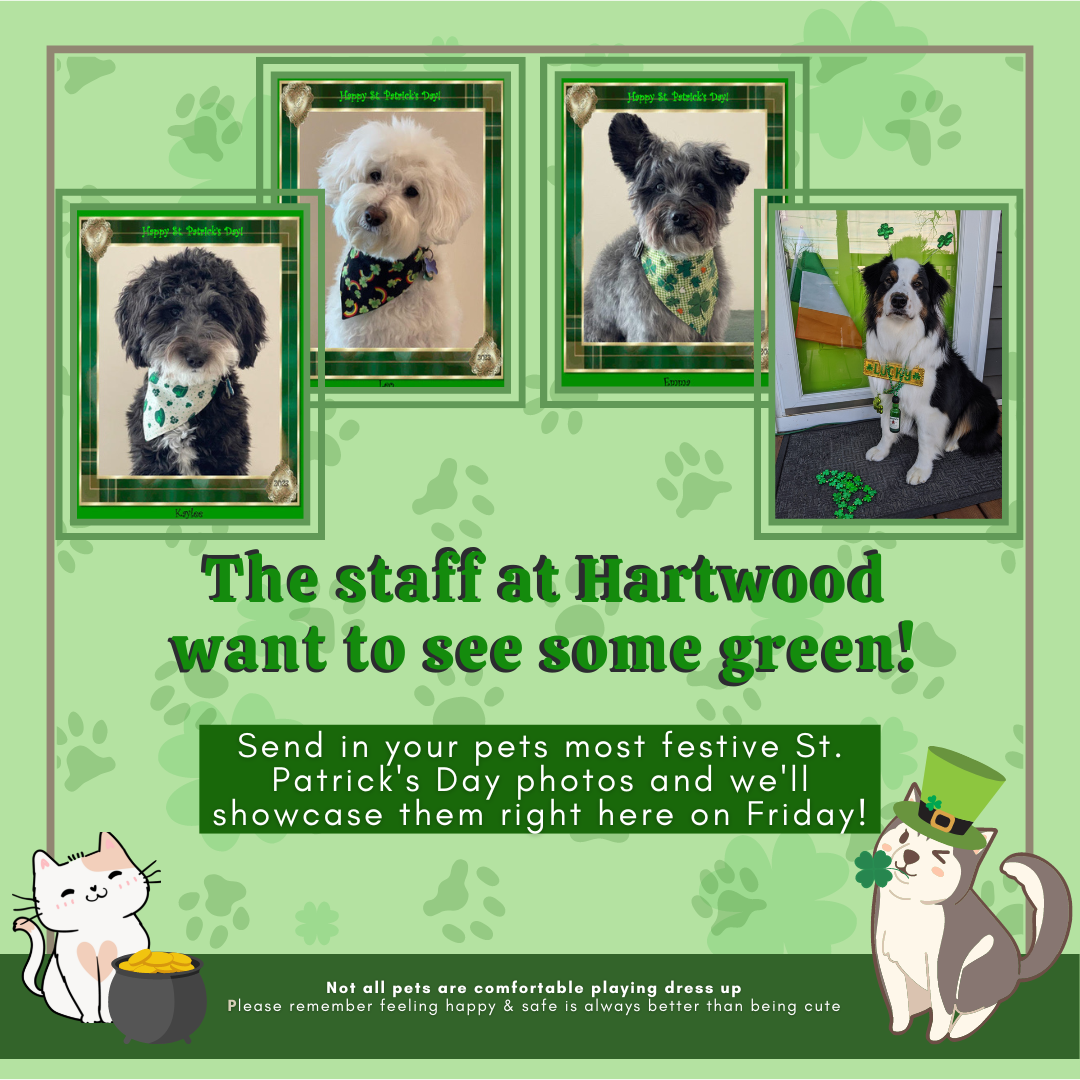 Hartwood Animal Hospital sees critters of all shapes and sizes!